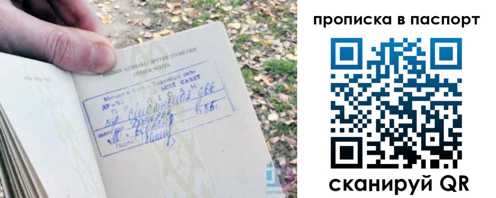 купить прописку в Дагестане